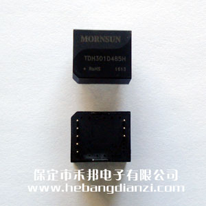߸x485ģK TDH301D485H