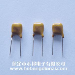 自恢復(fù)保險(xiǎn)絲250V 0.11A