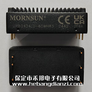 URB2424LD-60WHR3 帶散熱片